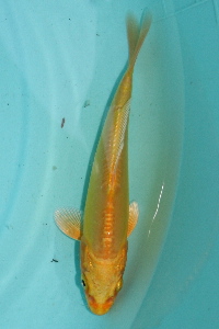 20111120 172-200.jpg